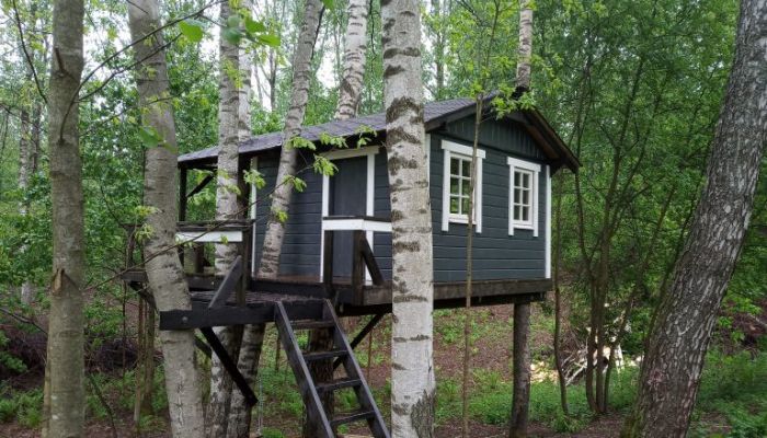 Проект "Колбино"