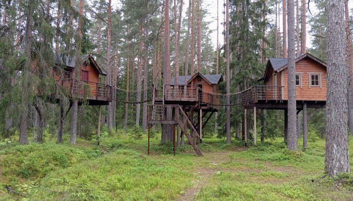 Проект "Репинские озера"