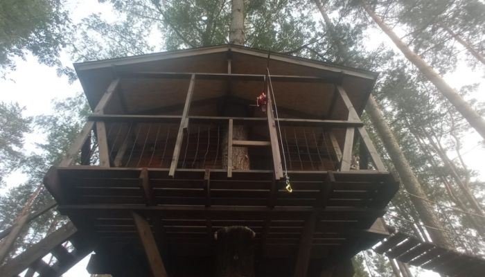 Проект "Лисички"