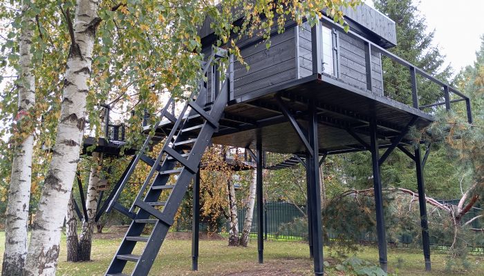 Проект "Монтевиль"