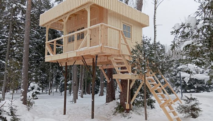 Проект "Раздолье"