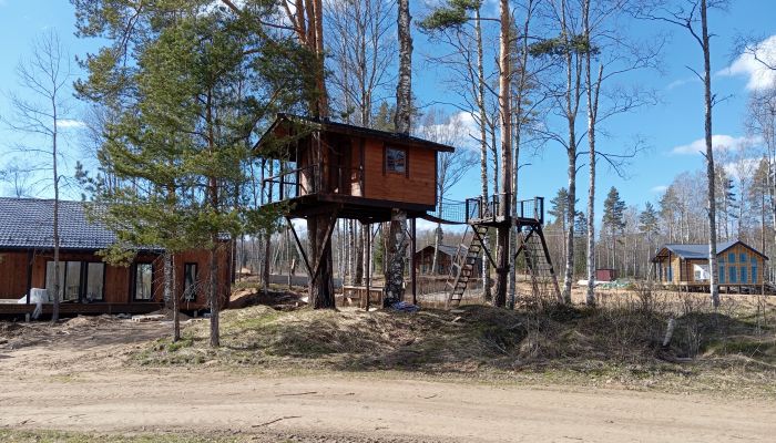 Проект "Белкино"